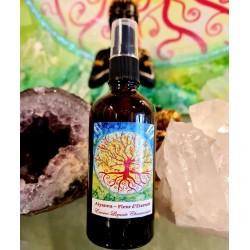 Aiyanna Encens Liquide...