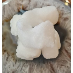 Encens résine de Camphre