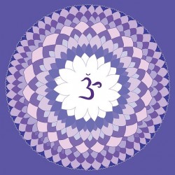 Neuvaine Chakra coronal