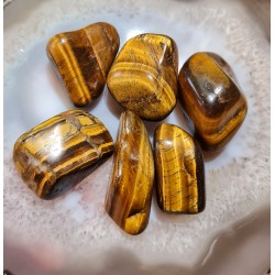 Oeil de tigre roulé