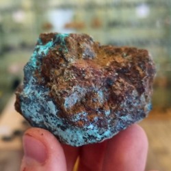 Chrysocolle 108