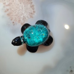 Tortue Chrysocolle 09