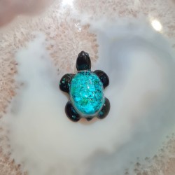 Tortue Chrysocolle 05
