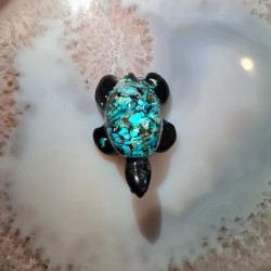 Tortue Chrysocolle 13