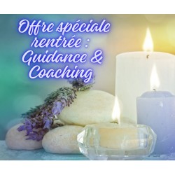 Séance Guidance & Coaching
