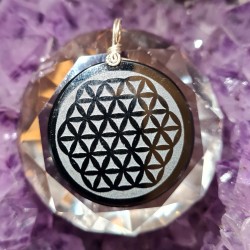 Pendentif Obsidienne noire...